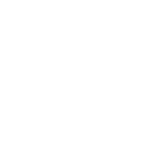 MOVE-IN CLEANING SERVICES
