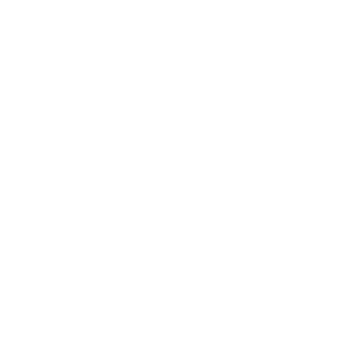 WINDOW CLEANING SERVICES